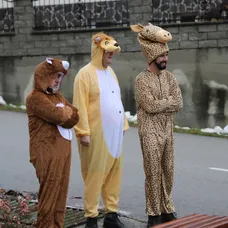 Chlpáči