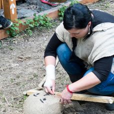 Koniec sluhov na Farme