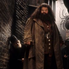 Robbie Coltrane ako Hagrid v Harrym Potterovi.