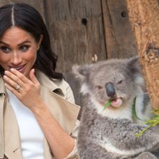 Vojvodkyňa zo Sussexu na oficiálnej ceste v Austrálii.