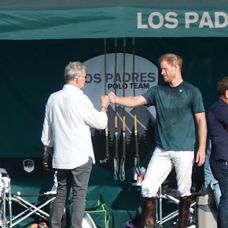 Princ Harry na póle