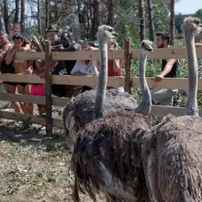 Farmári boli z nových kamarátov úplne paf