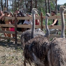 Farmári boli z nových kamarátov úplne paf