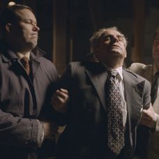 holubec nakladacka.jpg_bez_watermarku_1.8