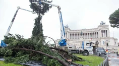 Rímsky vianočný stromček je opäť na smiech. Vyzerá, ako keby sa s ním pohrala víchrica