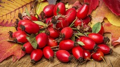 Neplaťte za vitamíny! Nazbierajte si ich