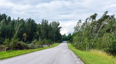 Slovensko zasiahne vo štvrtok silný vietor. Pre bezpečnosť nechoďte ani do bratislavských lesoparkov