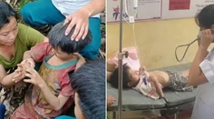 VIDEO: Chlapec (6) prežil sám týždeň vo vietnamskej džungli plnej nástrah. Polícia hovorí o zázraku