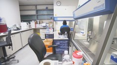 Ukrajinci na Slovensku. Vykonávať svoje pôvodné profesie je pre mnohých takmer nemožné