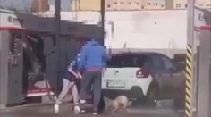 Psíka sa rozhodli umyť v autoumyvárke v Prievidzi. Reakcia zverolekára je jednoznačná