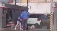 Psíka sa rozhodli umyť v autoumyvárke v Prievidzi. Reakcia zverolekára je jednoznačná