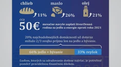 Jednorazová pomoc, ktorú avizuje vláda, nestačí. Odborníci vyzývajú koalíciu, aby čím skôr zdvihla štátne príspevky