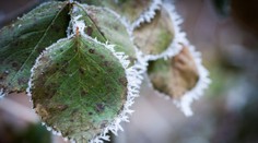 Babiemu letu odzvonilo. Prišlo výrazné ochladenie, v týchto oblastiach očakávajte mráz a sneh
