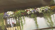 V Košiciach hľadali najkrajšie balkóny. Toto jeden z nich