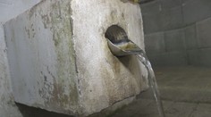 Prameň na pútnickom mieste v Rafajovciach sa stratil. Po zemetrasení voda však zase začala tiecť