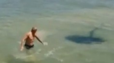 Jednoduchým vtipom nachytali celý svet