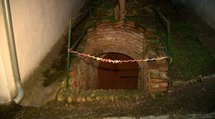 Z vínnej pivnice sa ozýval plač. Rakúska polícia v nej objavila šesť detí známeho popierača holokaustu