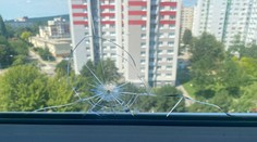 Rodine v Bratislave niekto prestrelil okno. Polícia ich šokovala s verziou, že dieru mohol vyďobať vták