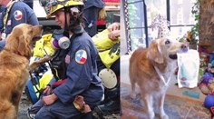 Posledná hrdinka z 11. septembra! Na 16. narodeniny dostala nádherné darčeky
