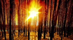 Aký bude február? Podľa SHMÚ teplotne nadnormálny