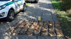 Nález na juhu Slovenska naháňa zimomriavky: Pri ceste našli pohodené zvieracie pozostatky