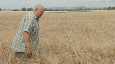 Žatva sa rozbehla a farmári kosia tohtoročnú úrodu. Očakáva sa nižšia, no sýpky by nemali byť prázdne