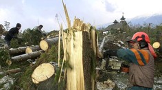 V lese sa zranil pilčík, do nemocnice ho previezli vrtuľníkom