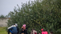 Nešťastný incident v Česku. Policajný pes počas zásahu proti migrantom pohrýzol do tváre dievča (4)