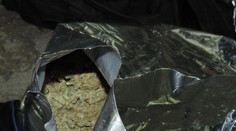 V Taliansku zadržali Slováka. V kamióne prevážal 1,4 tony marihuany