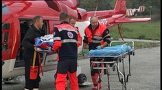 Pes v Palárikove vážne dohrýzol dvojročné dieťa na zátylku. Priviedla ho návšteva