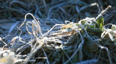 Čaká nás prvá vlna ochladenia. Na Slovensko sa vrátia mrazy