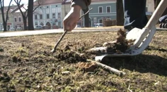 Pol tony "hovienok" nechali psíčkari v Spišskej Novej Vsi. Manželia sa rozhodli konať