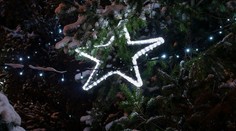 Tohtoročné Vianoce nebudeme ani v „bublinách“. Návštíviť rodinu je zakázané