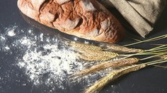 Mätový sirup – Mojito