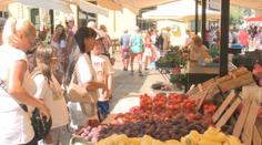 Na trhu v Košiciach skúšajú novinku. Takto rozpoznáte pestovateľov od priekupníkov