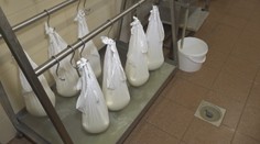 Začína sa sezóna jarnej bryndze, odborníci v nej vidia viacero pozitív