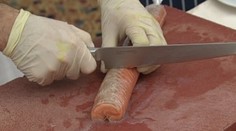 Lososy, ktoré kupujeme, sú umelo prifarbované