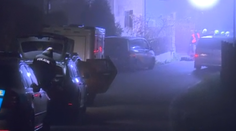 Rodinná tragédia v Česku: Otec rodiny zabil partnerku a jej matku, novorodenca našli bez zranení