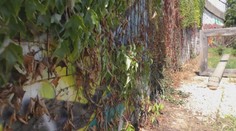 Trojročné úsilie desiatok ľudí zničili vandali za pár sekúnd