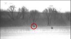 Medveďa spozorovali poľovníci pri rodinných domoch na juhu Slovenska