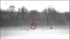 Medveďa spozorovali poľovníci pri rodinných domoch na juhu Slovenska