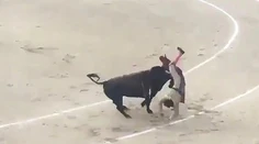 VIDEO: Dychberúci útok býka na matadora. Muž lietal vzduchom ako handra