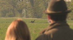 Na Slovensku vznikla aplikácia, vďaka ktorej je možné zachrániť stovky zvierat