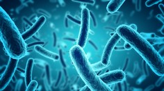 Vedci varujú pred novou hrozbou. Baktérie sú čoraz viac rezistentné voči antibiotikám