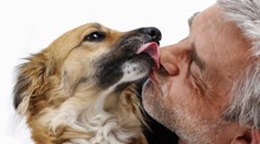 Muž zomrel po tom, ako ho oblízal jeho vlastný pes. Lekári dlho nevedeli zistiť, čo mu je