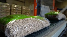 Ľudia sa začínajú obávať zimy bez plynu. Ceny dreva a uhlia prudko vyleteli