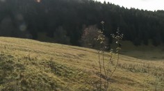 Vyrastie na Donovaloch športový komplex? Proti zámeru vznikla celoslovenská petícia