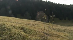 Vyrastie na Donovaloch športový komplex? Proti zámeru vznikla celoslovenská petícia