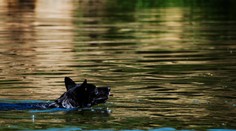 Tragédia v Taliansku. Dve ženy sa utopili, keď chceli z rieky zachrániť psa