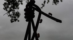 V USA sa pripravujú na nevídanú záplavu cikád. Má ich byť najviac za posledných 200 rokov